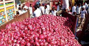 onion exports