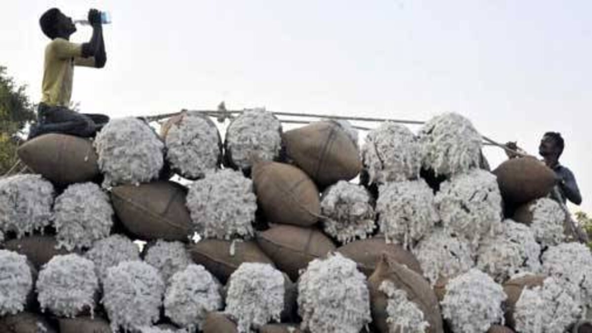 Bangladesh cotton import marks 13.4 pc minus growth