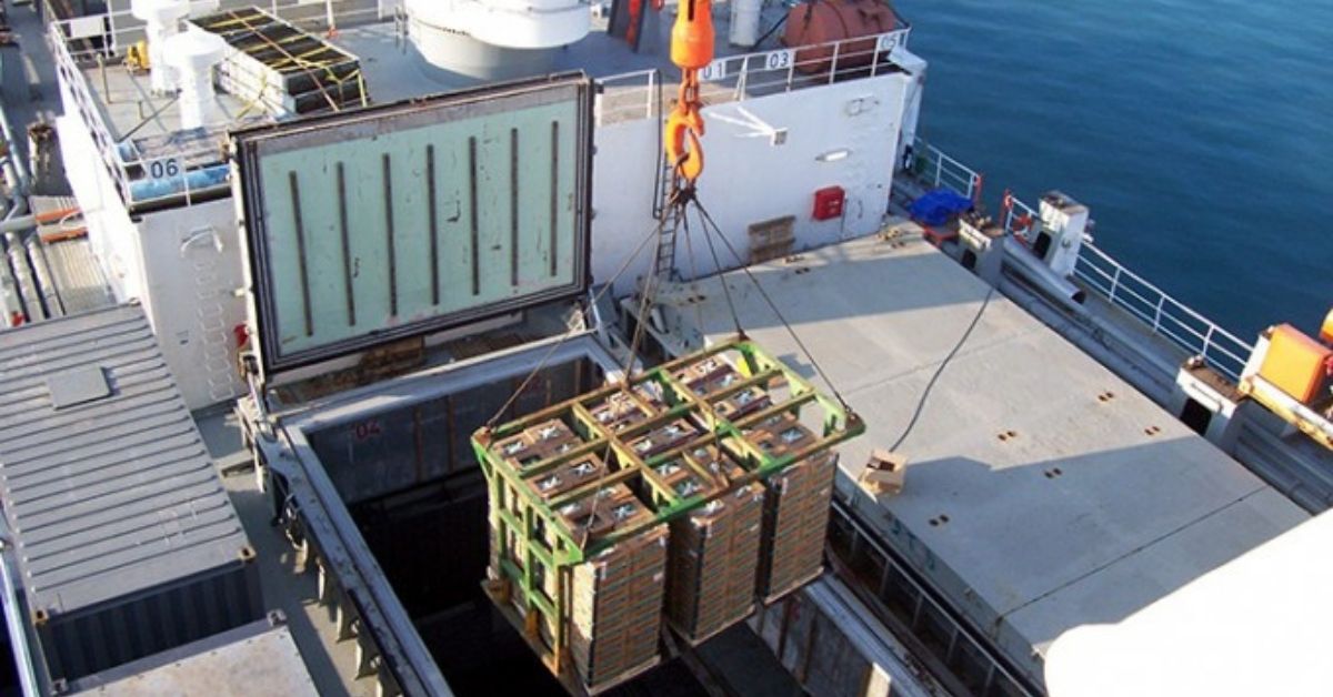 Just cost4. Break bulk vessel. Bulk cargo is. Multipurpose vessels. Bulk cargo is.