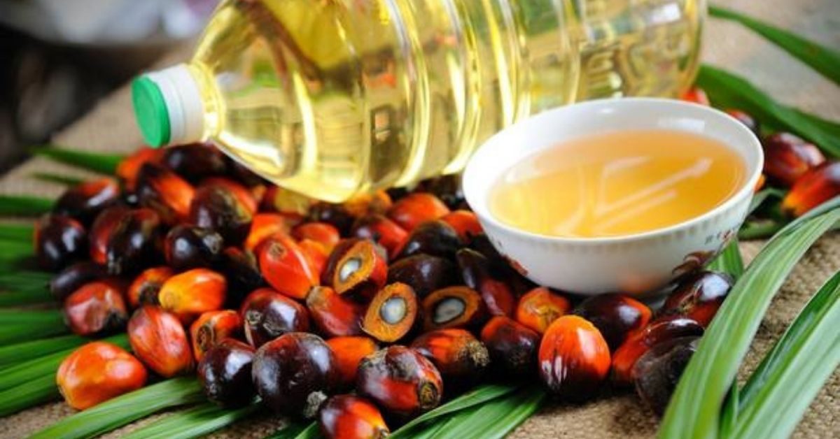 5 major palm oil importers from Asia form alliance - Maritime Gateway