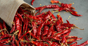 chilli export