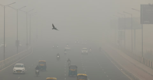 Maritime Home 13 dlehi smog