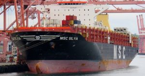 msc silvia
