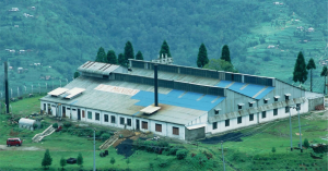 Maritime Home 11 nepal tea factory