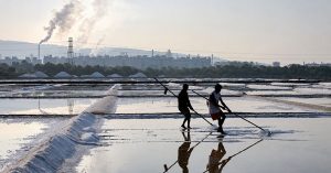 Maritime Home 13 Andhra Pradesh moves on 20,378 acres of central salt lands