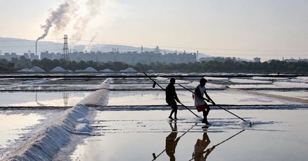 Andhra Pradesh moves on 20,378 acres of central salt lands